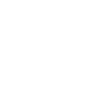 icons8-inland-100